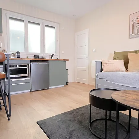 公寓 Le Pedestre-cosy-hypercentre-place Liberation-calme