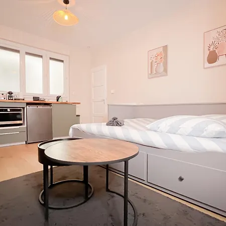 Le Pedestre - Cosy Hyper Centre-ville De 디종