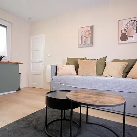 公寓 Le Pedestre-cosy-hypercentre-place Liberation-calme