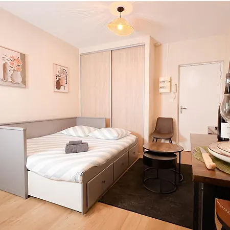 公寓 Le Pedestre-cosy-hypercentre-place Liberation-calme 第戎