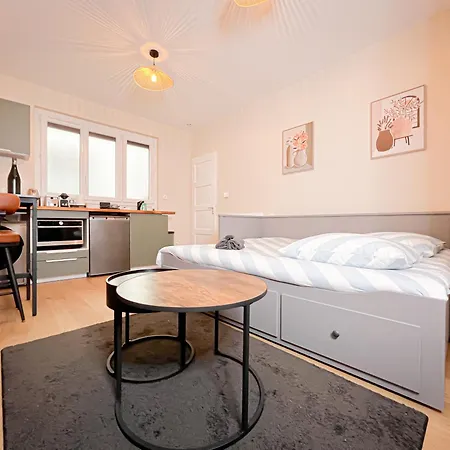 Le Pedestre-cosy-hypercentre-place Liberation-calme 公寓