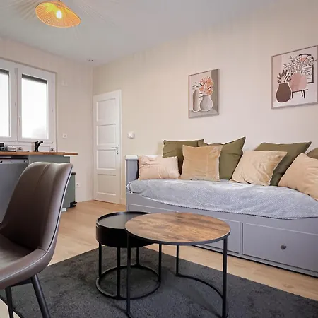 Le Pedestre-cosy-hypercentre-place Liberation-calme 公寓 第戎