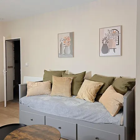 Le Pedestre-cosy-hypercentre-place Liberation-calme 公寓 *