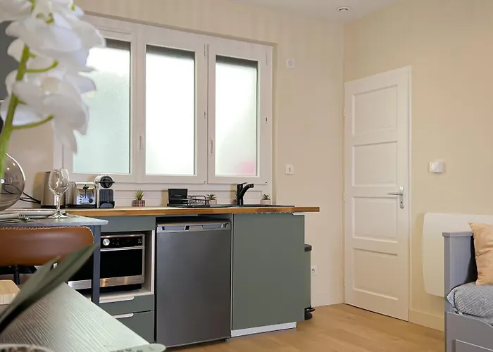 Appartement Le Pédestre - Cosy Hyper Centre-ville De Dijon