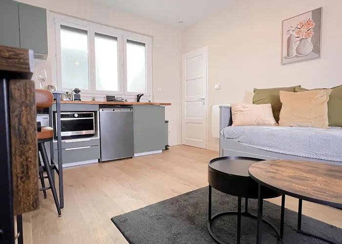 Appartement Le Pédestre - Cosy Hyper Centre-ville De