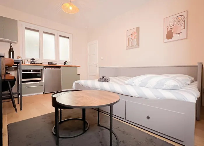 Le Pédestre - Cosy Hyper Centre-ville De Dijon