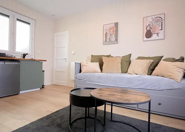 Appartement Le Pédestre - Cosy Hyper Centre-ville De