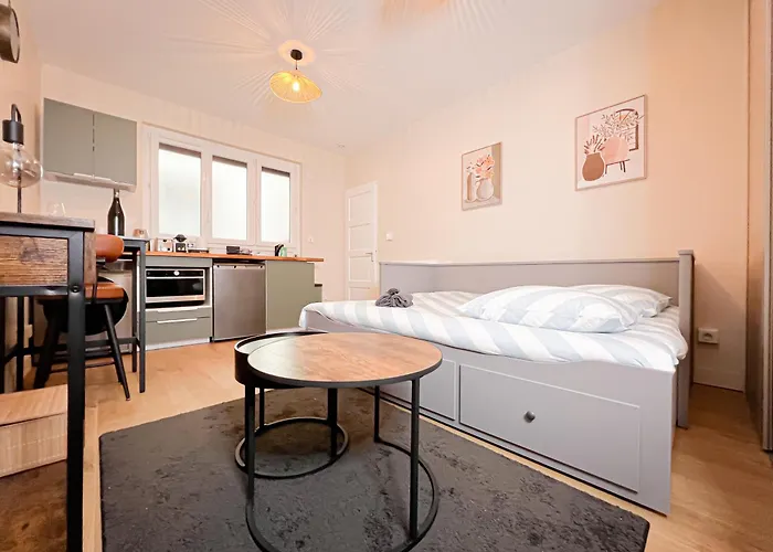 Le Pédestre - Cosy Hyper Centre-ville De Appartement